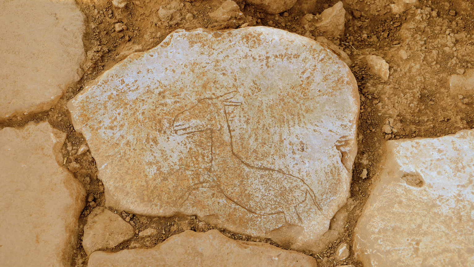 Karahantepe Yaban Eşeği Tasvirli Taş