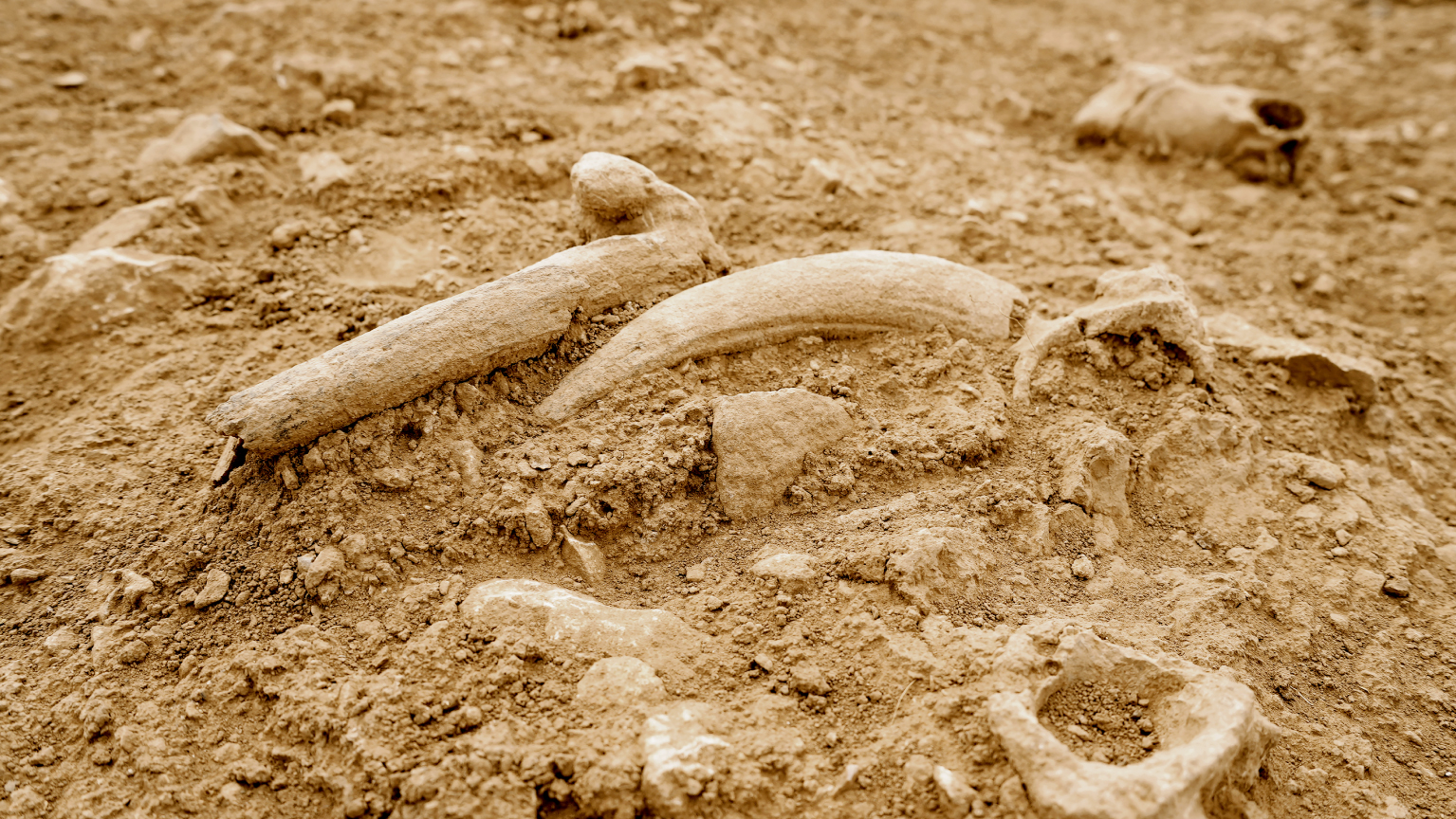 yanmış kafatasları çakmaktepe