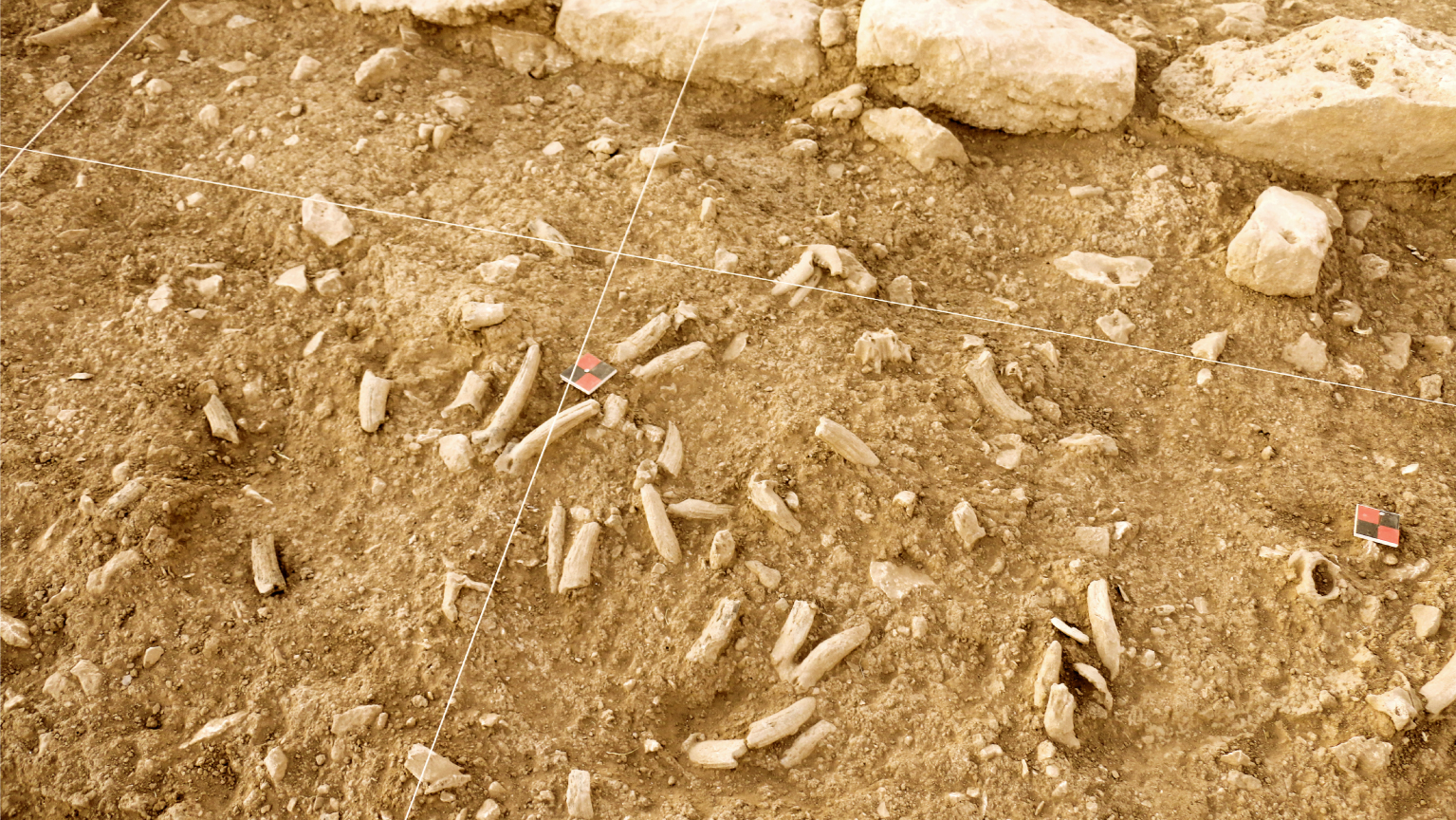 çakmaktepe yanmış kafatasları