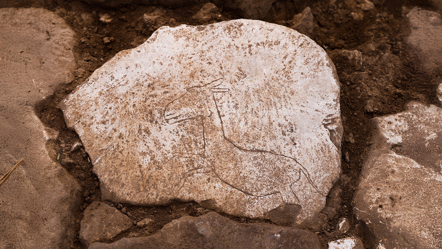 Stone Slab With A Running Wild Donkey Figure